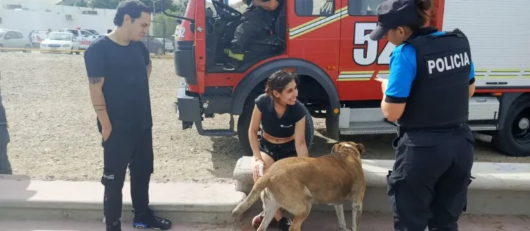 Una pareja de jóvenes cruzó la ciudad para salvar a un perro atrapado por la marea en la Ducos