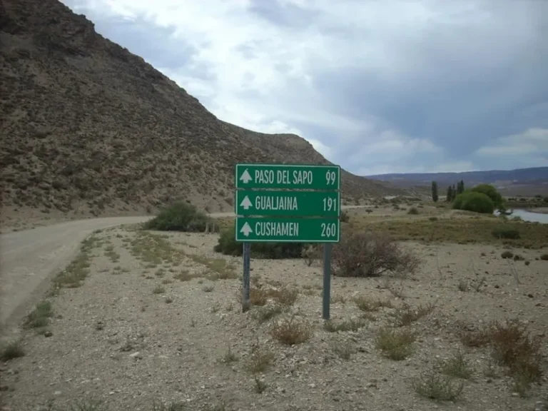 Motociclista resultó herido tras volcar en Ruta 12