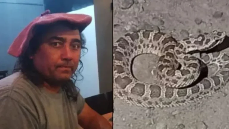 Camionero en estado crítico tras picadura de yarará