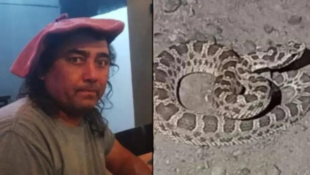 Camionero en estado crítico tras picadura de yarará