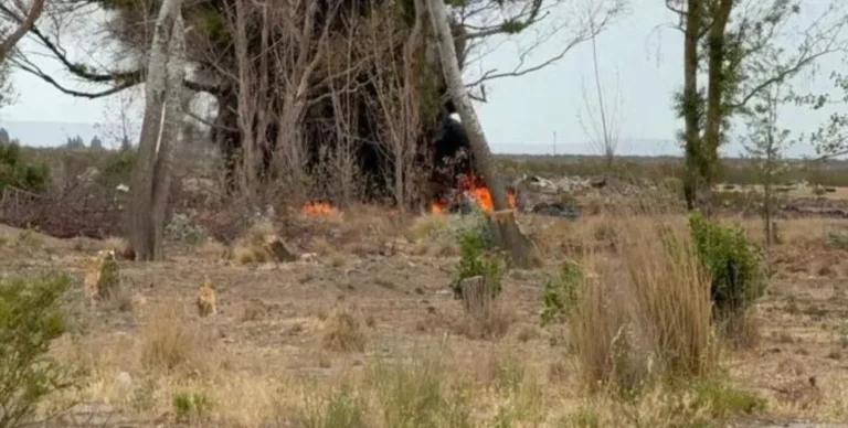 Incendio de pastizales y basura genera alerta en Trelew