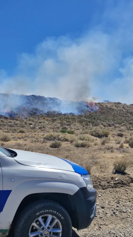 Incendio de pastizales en un terreno baldío de Fracción 15