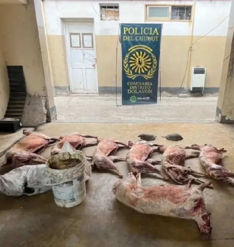 Echaron y denunciaron al funcionario que dijo que faenaba para los jefes policiales