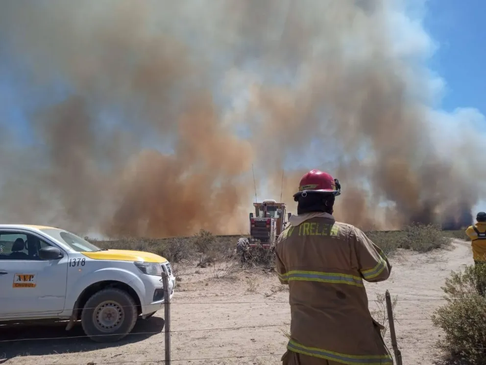 Se quemaron más de 20 mil hectáreas en campos de Trelew