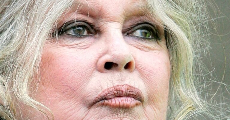Brigitte Bardot y su confesión sobre su único hijo: "Habría preferido parir un cachorro"