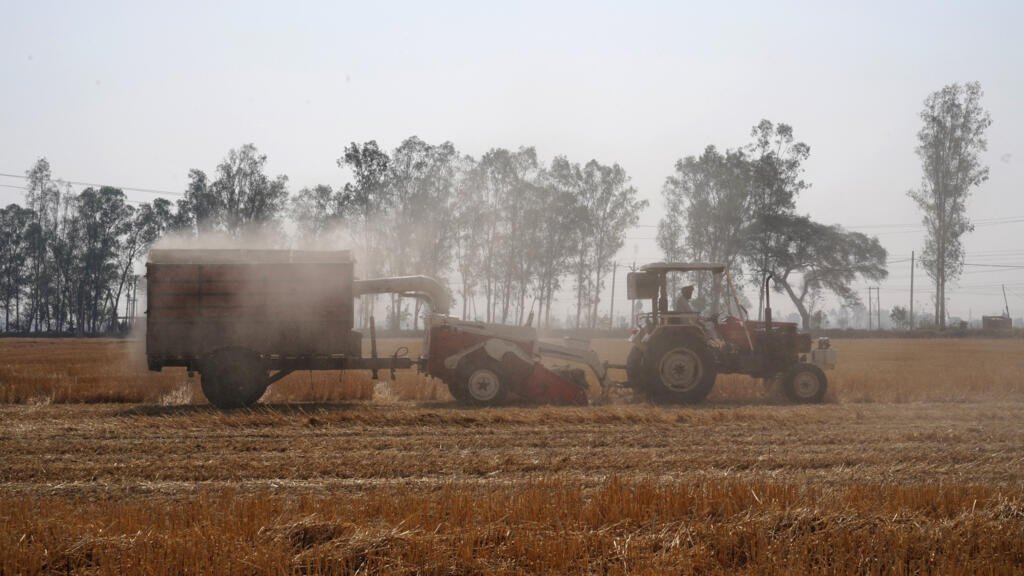 India espera un enero más frío que el promedio, impulsando los cultivos de invierno