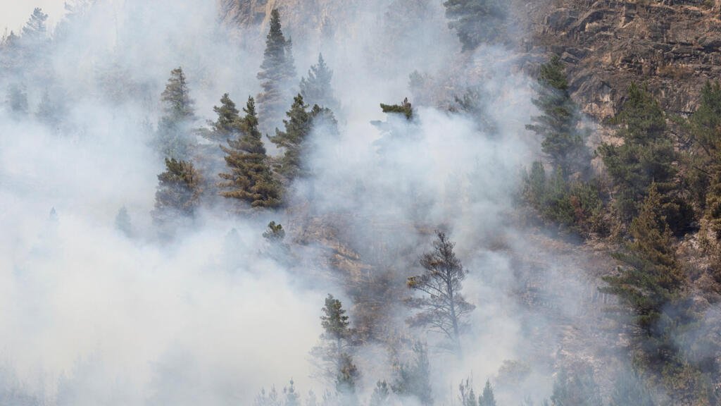 Arde la Patagonia: ¿Cuál es el impacto real de los incendios en el sur de Argentina?