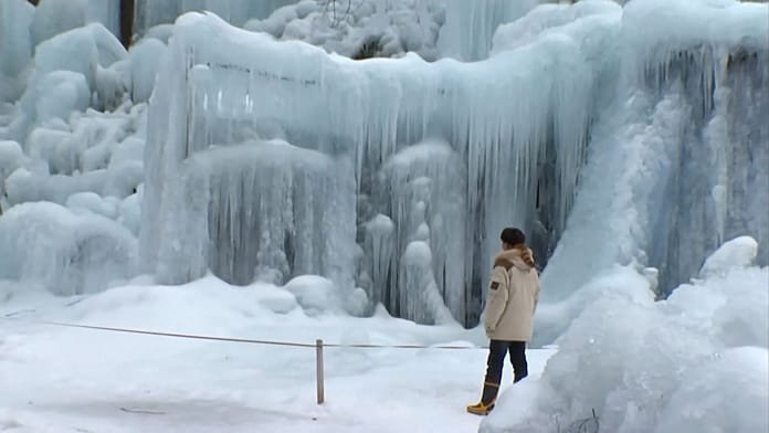 "Bosque bajo cero", una arboleda de hielo creada en una posada de montaña de Takayama