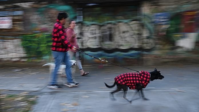 Un terremoto de magnitud de 6,5 sacude el sur y el centro de México