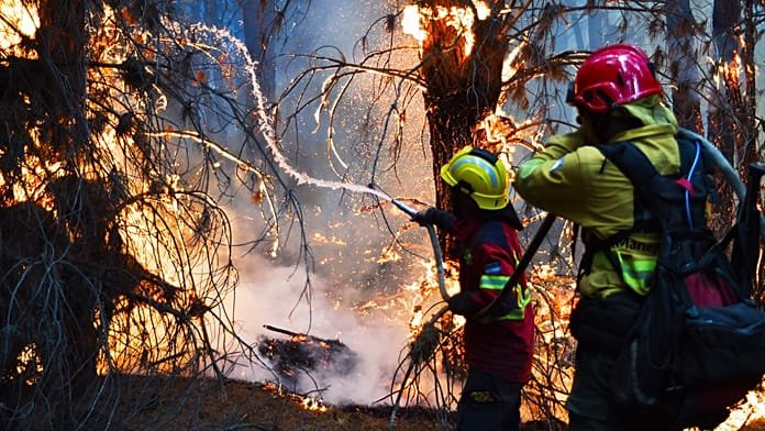La Patagonia pierde al menos 52.000 hectáreas por incendios provocados que amenazan bosques milenarios
