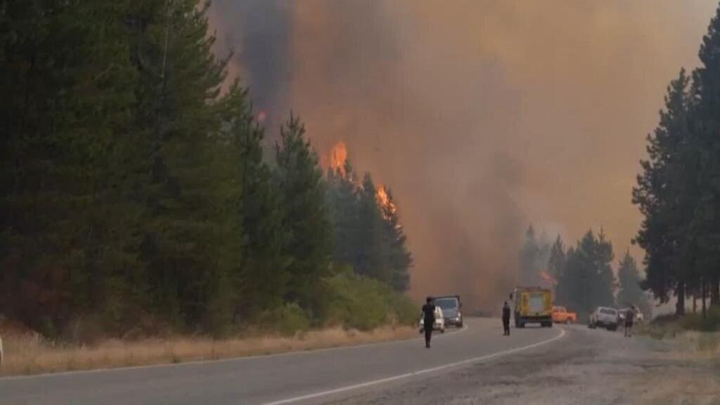 Incendios en Argentina: miles de hectáreas consumidas por las llamas