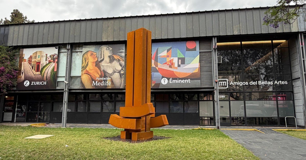 El Museo Nacional de Bellas Artes se ampliará con una donación privada y un préstamo estatal