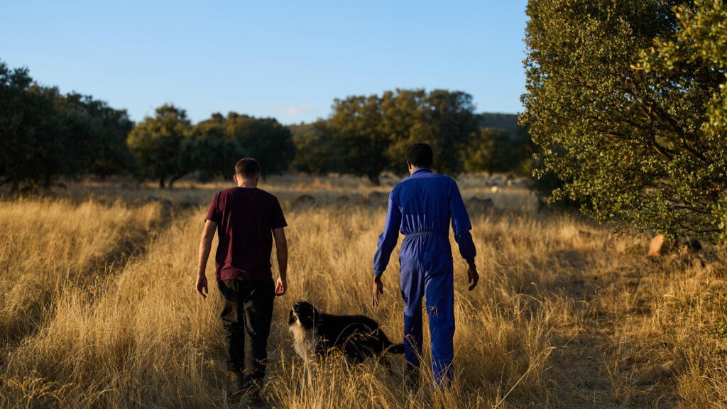 ¿Por qué España decidió regularizar a 500.000 migrantes indocumentados?