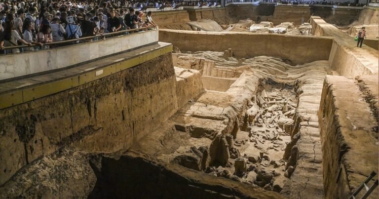 Arqueólogos chinos descubrieron extraños carruajes funerarios cerca del mausoleo de Qin Shi Huang