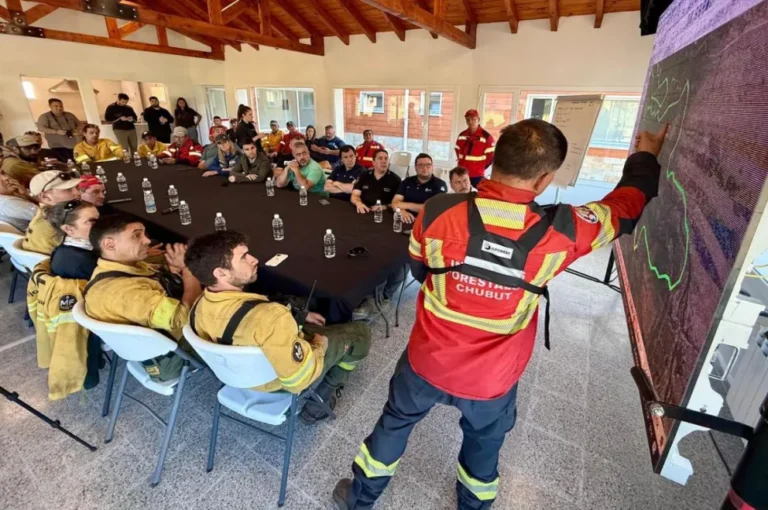 Cerca de 650 personas y 8 medios aéreos combaten el incendio de Puerto Patriada