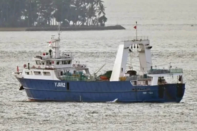 Detectan buque extranjero pescando ilegalmente en el mar Argentino