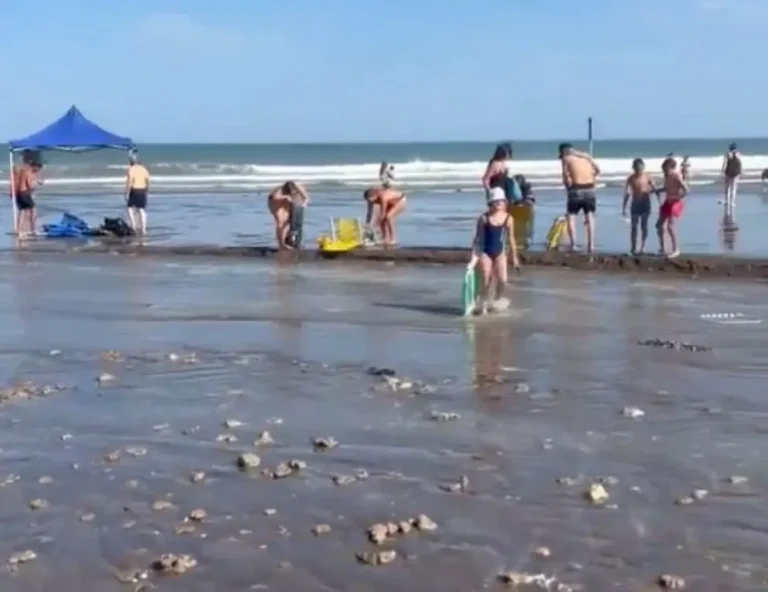 "Mini tsunami": Inusual fenómeno marítimo en Santa Clara del Mar provocó daños y heridos