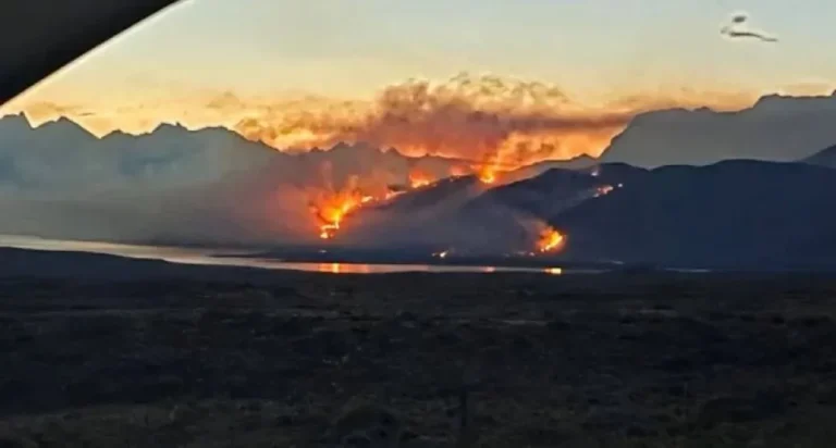 Incendio forestal en Parque Los Glaciares: 340 hectáreas afectadas