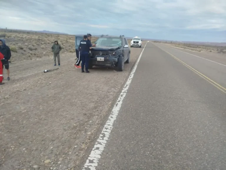 Accidente en Ruta 26: Guanaco provocó colisión sin heridos cerca de Sarmiento