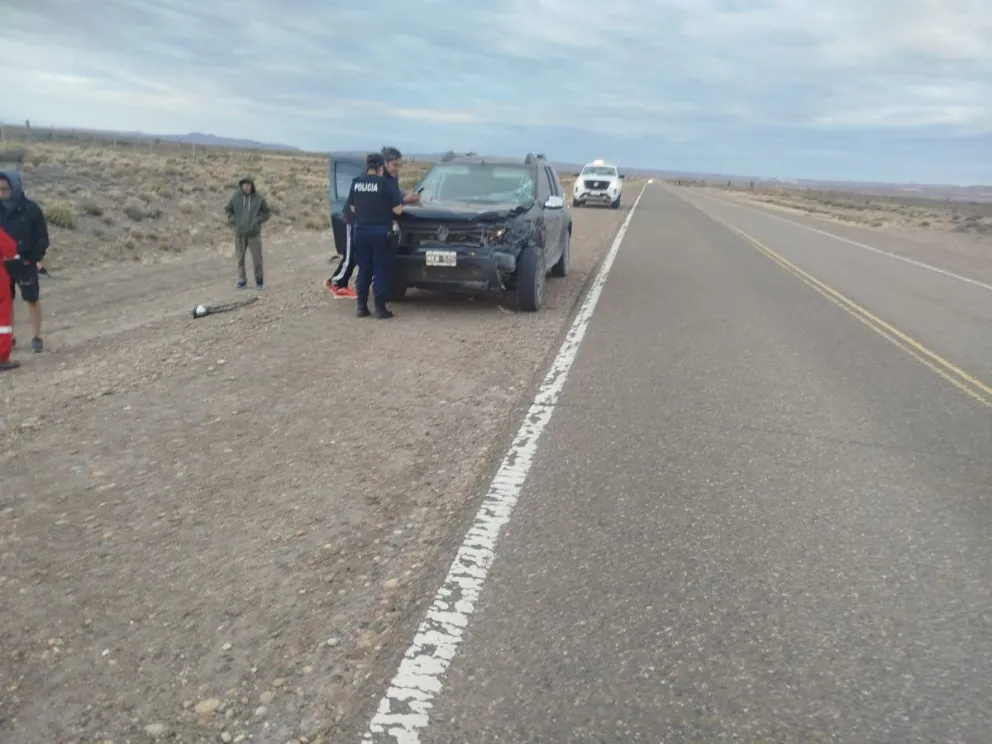 Accidente en Ruta 26: Guanaco provocó colisión sin heridos cerca de Sarmiento