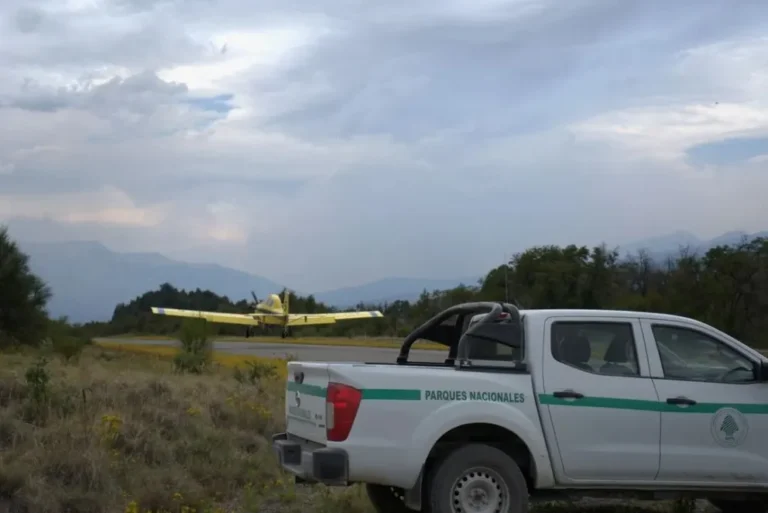 Incendio en Parque Los Alerces: más de 200 personas y seis medios aéreos combaten el fuego