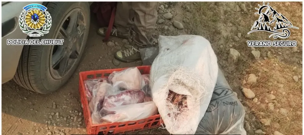 Secuestraron carne transportada sin documentación