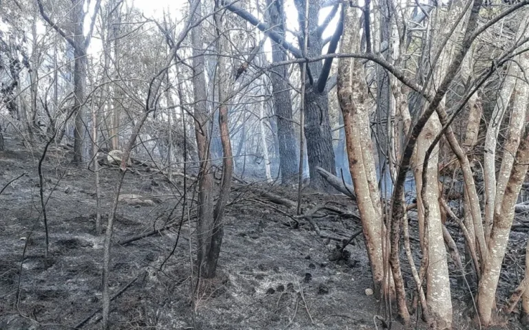 Lago Puelo bajo alerta extrema: rige la prohibición total de hacer fuego