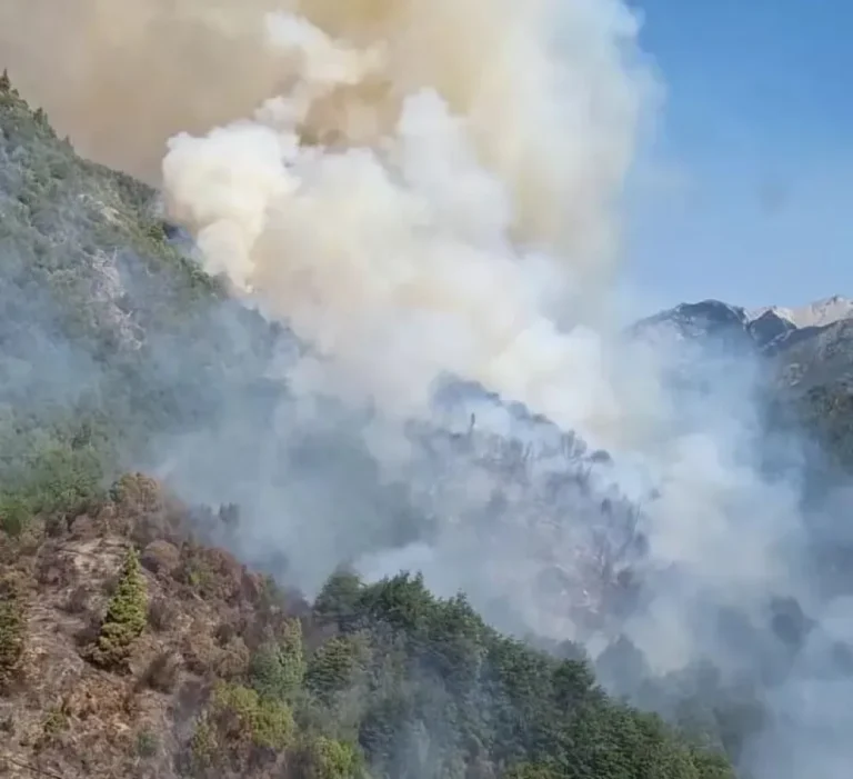 Un operativo de 241 brigadistas combate las reactivaciones en Puerto Patriada