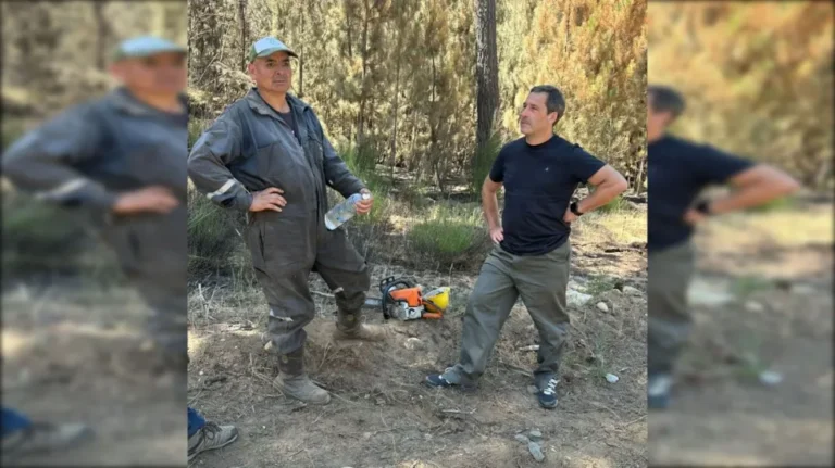 Luque presentó un proyecto de ley para declarar la emergencia ígnea y ambiental en la Patagonia