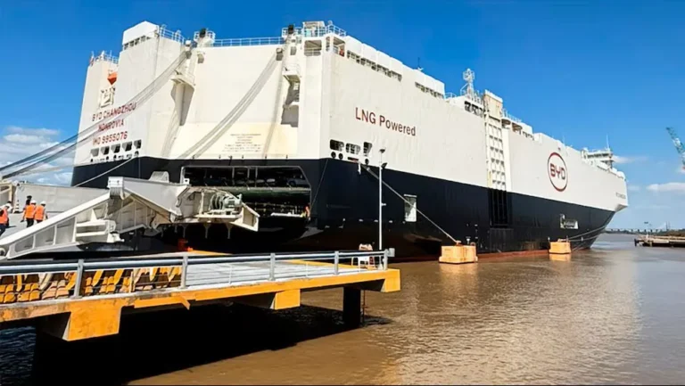 Arribó al país el navío chino que transporta miles de vehículos híbridos y eléctricos
