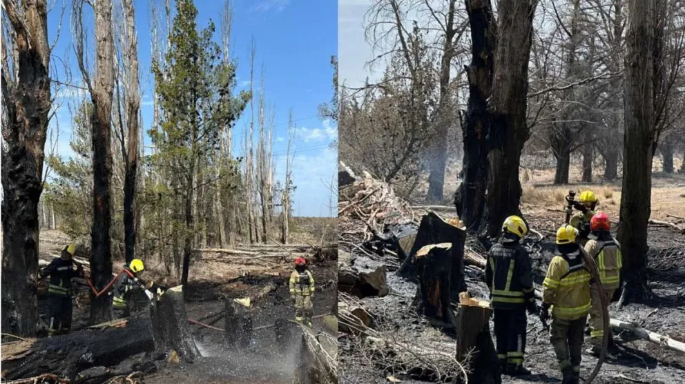 Caídas de rayos provocaron dos incendios en Rawson