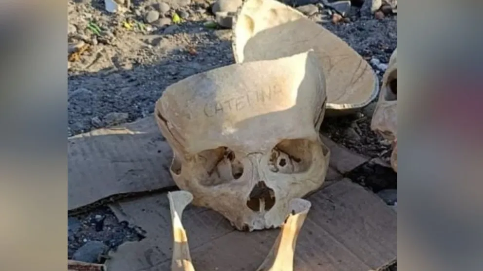 Los cráneos hallados en el basural de Rawson podrían tener valor científico