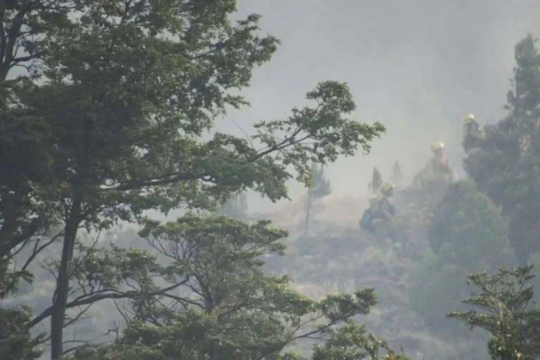 Con más brigadistas y recursos, Chubut refuerza los operativos para combatir los incendios forestales en la Cordillera