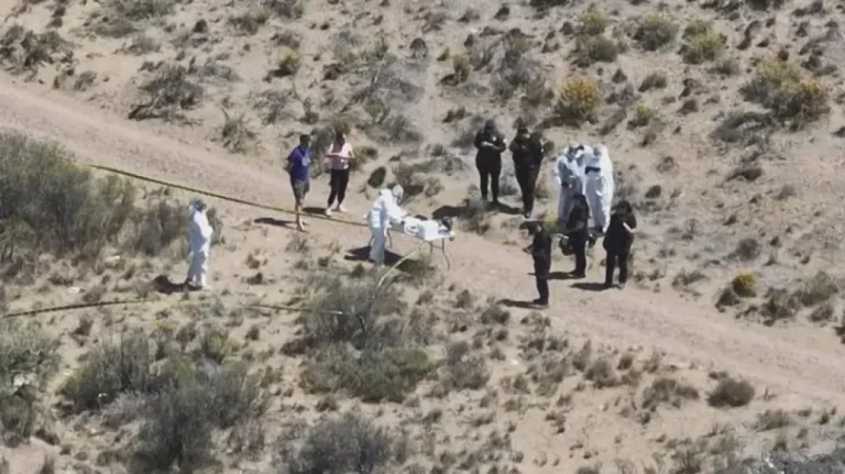 Hallan más restos humanos en un descampado de Caleta Olivia tras el hallazgo de una mano