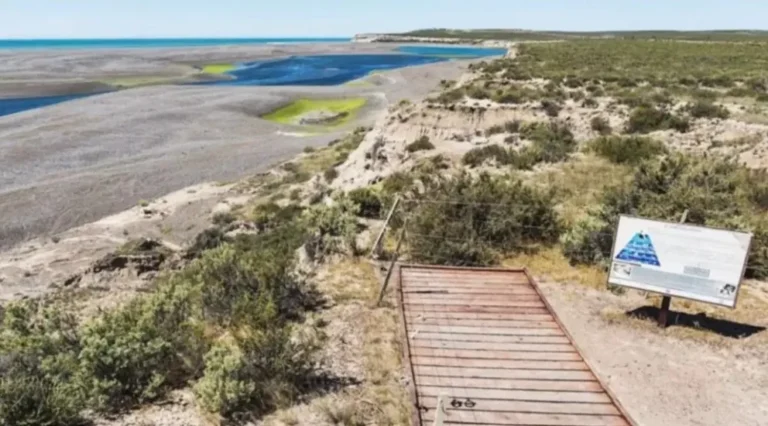 El gobierno ordenó la apertura de los miradores de Península Valdés