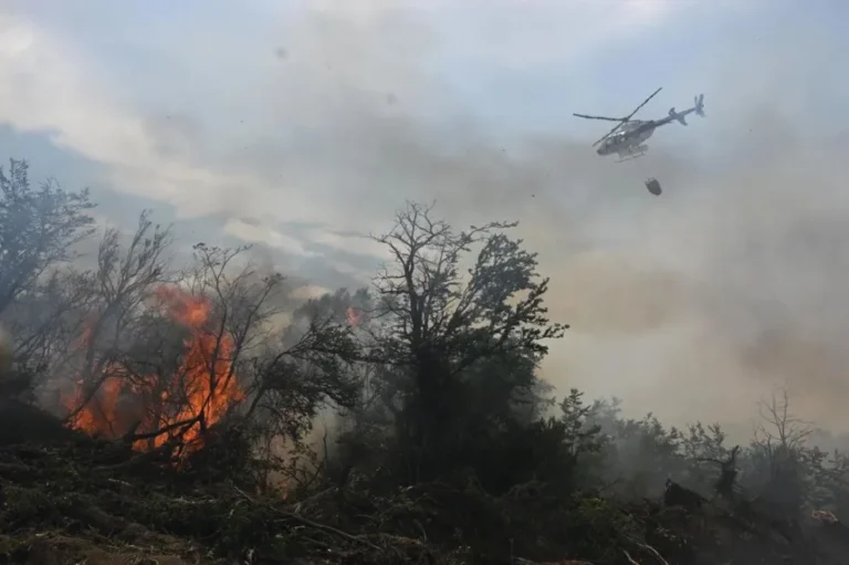 Provincia dispuso el cierre temporal de la Ruta 71 en el Parque Nacional Los Alerces por el incendio en Lago Menéndez