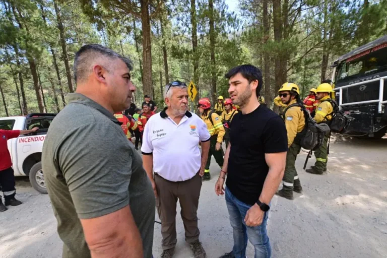 Torres supervisó el operativo de evacuación y combate del fuego en Puerto Patriada y pidió extremar cuidados