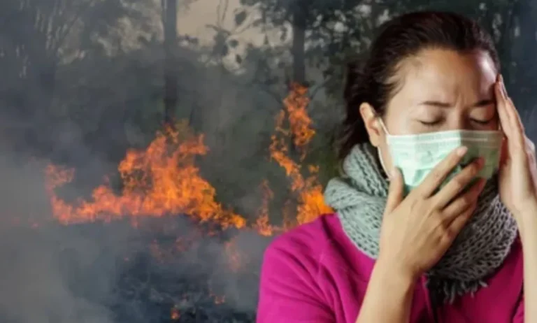 Incendios en la Cordillera: Provincia brindó recomendaciones para el cuidado de la salud