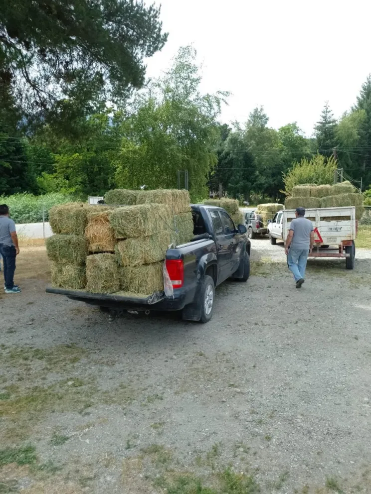 Asistieron a productores afectados por los incendios en la región cordillerana