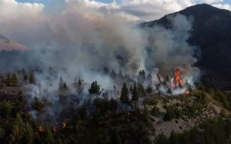 El incendio en Puerto Patriada esta contenido al 85% y se esperan lluvias clave