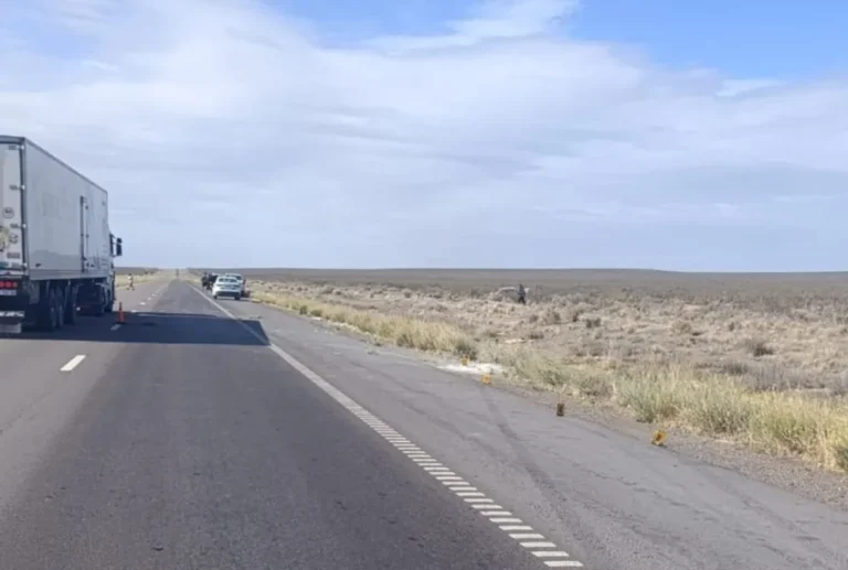 Un auto dio cinco vueltas camino a Madryn y una mujer salió despedida