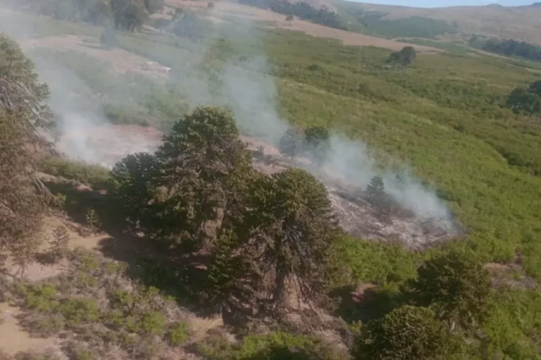 Neuquén: alertan por nuevos focos de incendios forestales en Valle Magdalena