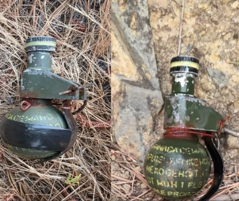 Lago Epuyén: hallaron otra granada y cerraron preventivamente el Parque Puerto Bonito