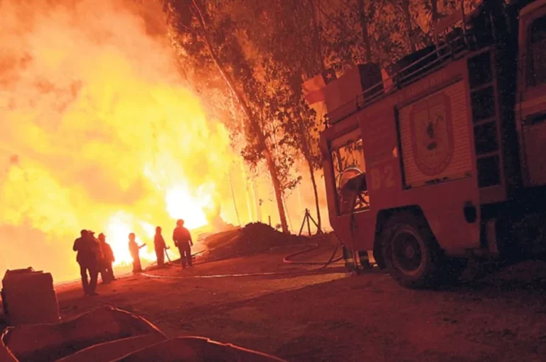 Al menos 18 muertos por los incendios forestales en el sur de Chile