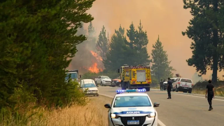 Provincia intensifica el combate del incendio en Puerto Patriada con más de 500 brigadistas