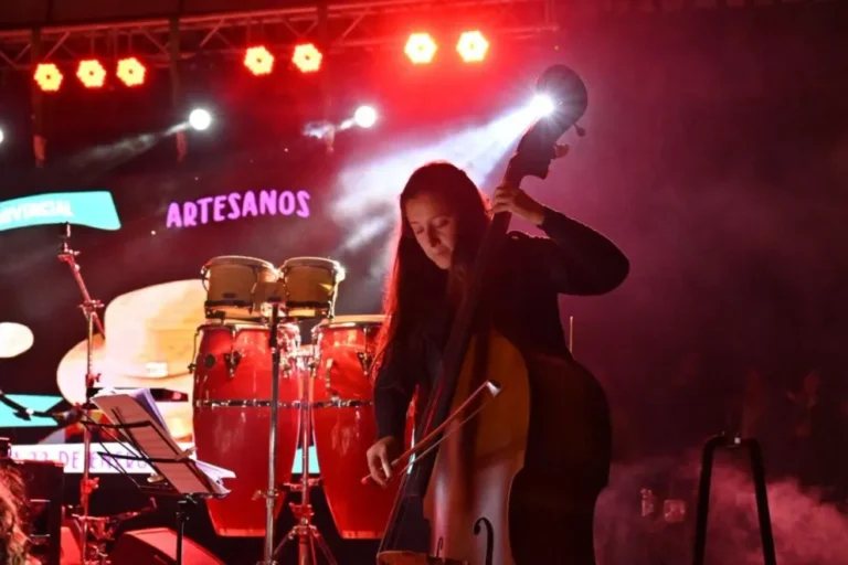 Provincia y el INAMU presentan en Puerto Madryn herramientas de fomento para proyectos musicales