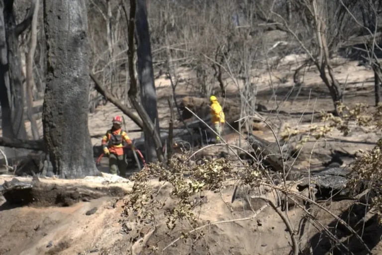 Más de 200 personas combaten incendio en Los Alerces ante llegada de lluvias