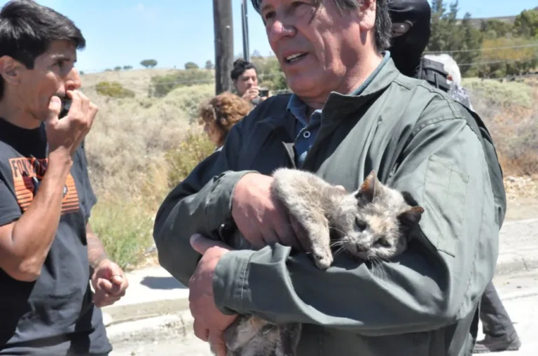 20 mascotas fueron rescatadas por operativo municipal