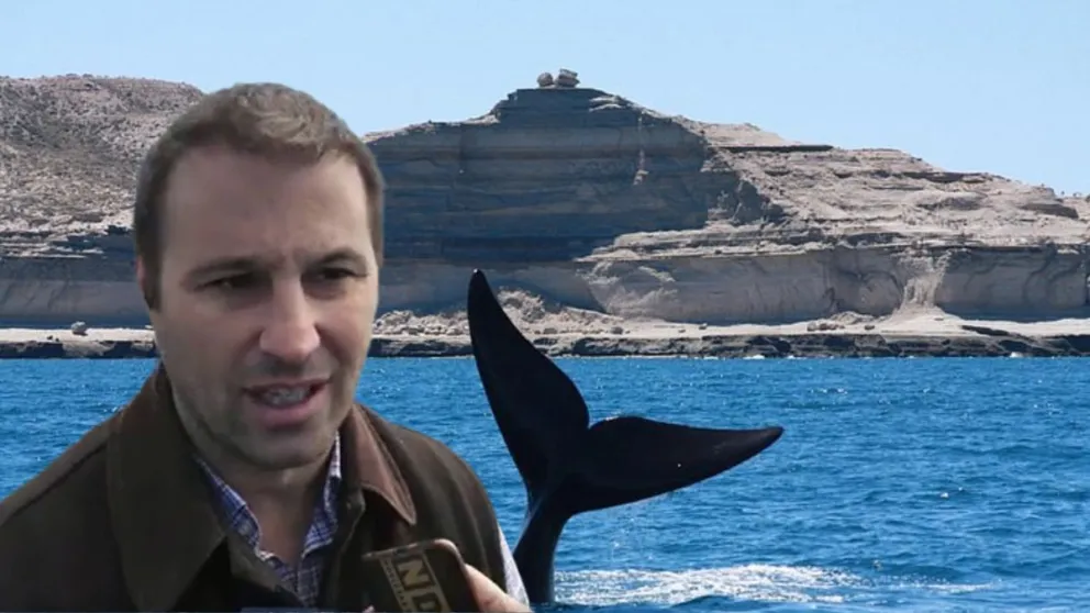 Lapenna respondió a las críticas por los miradores de la Península