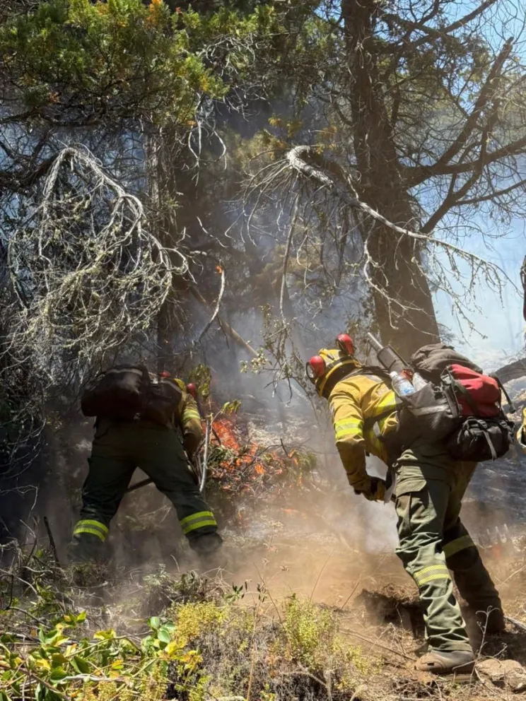 El Gobierno nacional desplegó casi 300 brigadistas para enfrentar los incendios en el sur